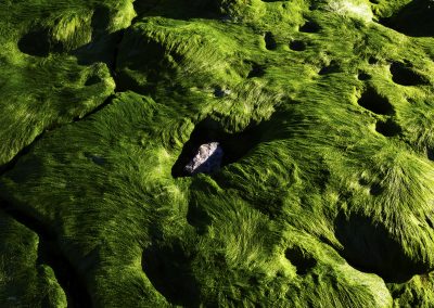 LEONARDO COSTA BRAGA